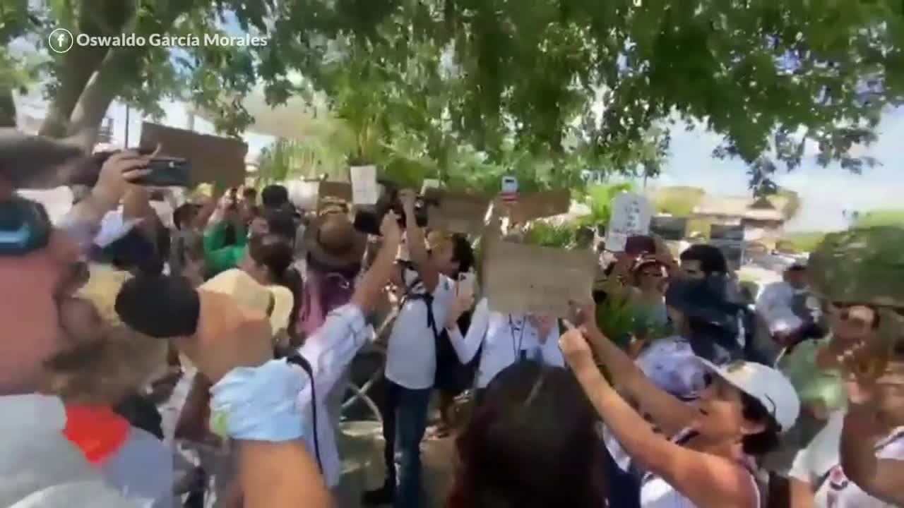 Por daños del Tren Maya ambientalistas en México protestan con cadena humana